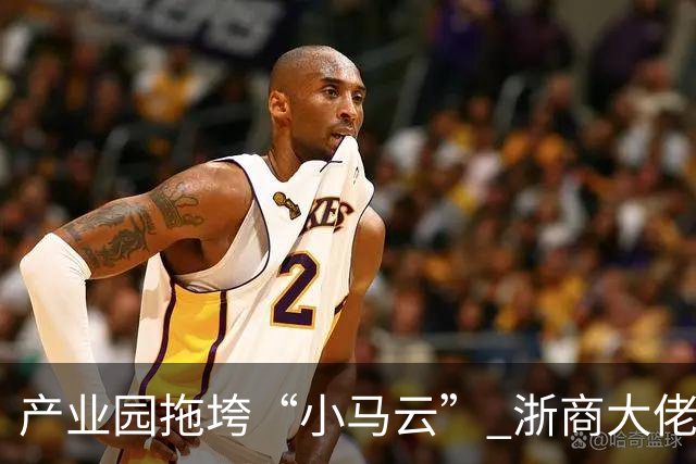 产业园拖垮“小马云” 浙商大佬被立案侦查